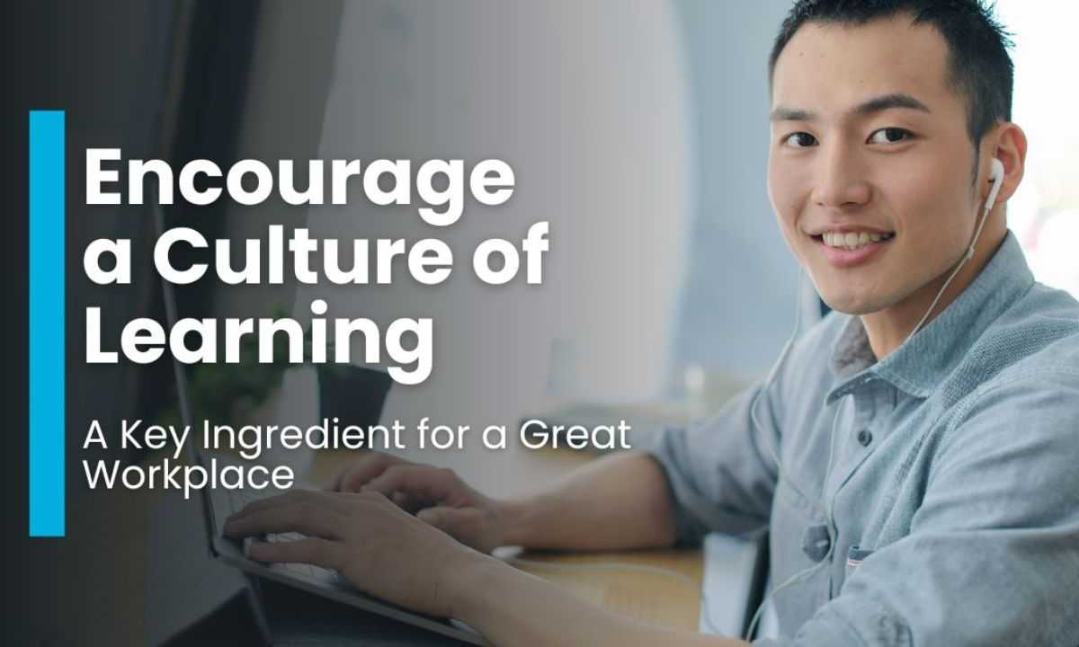 Encourage a Culture of Learning: A Key Ingredient for a Great Workplace